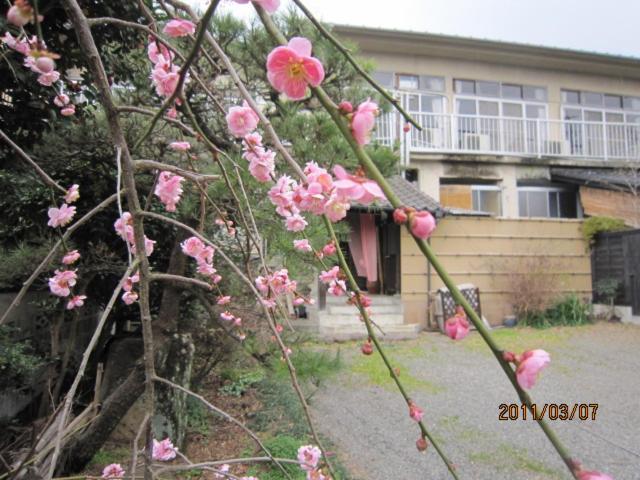 Ryokan Mikasaya Beppu Exterior photo